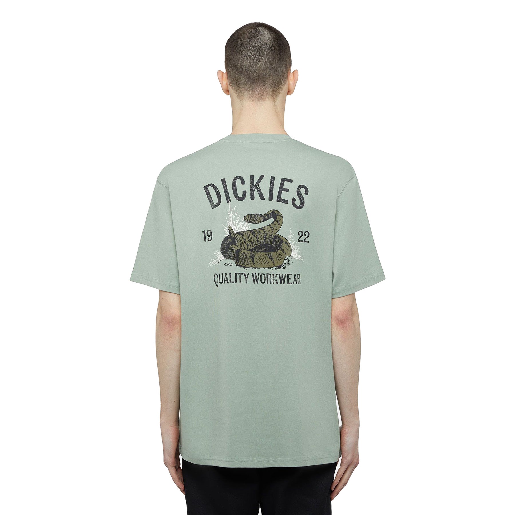 Camiseta Dickies Snake Iceberg Green