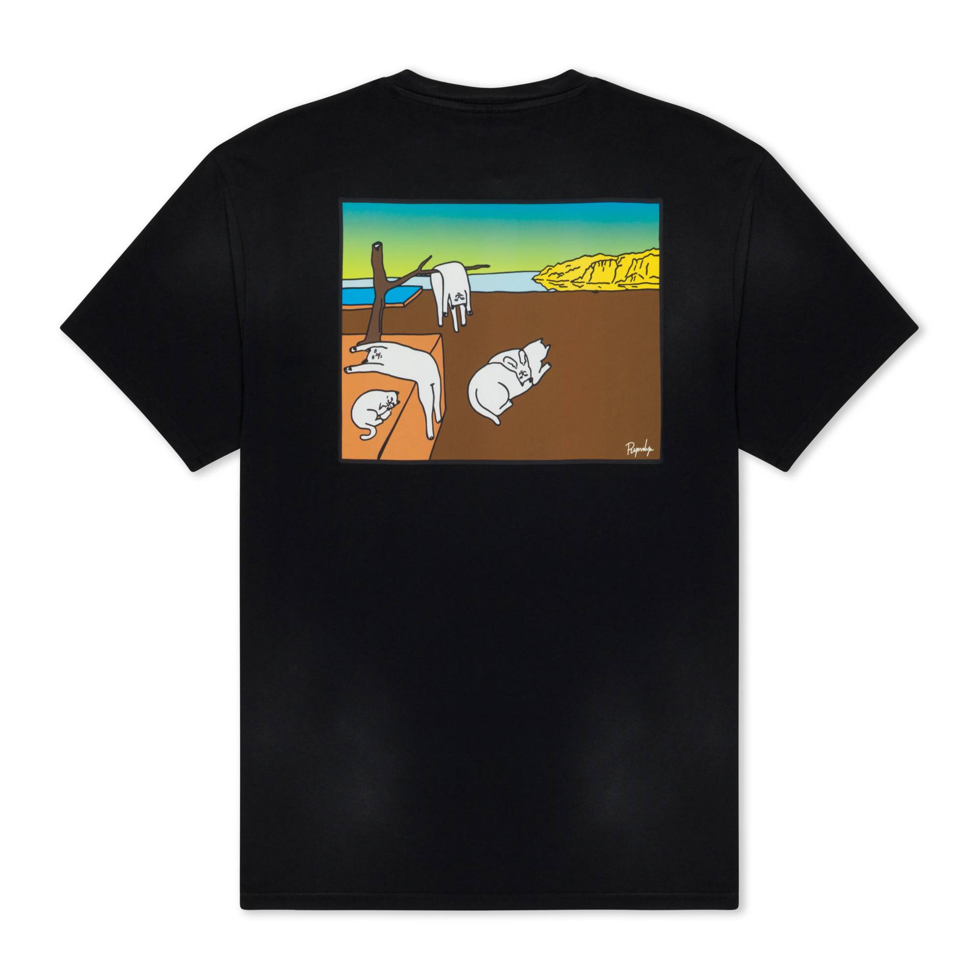 Camiseta Ripndip Nermali Black Vintage Wash