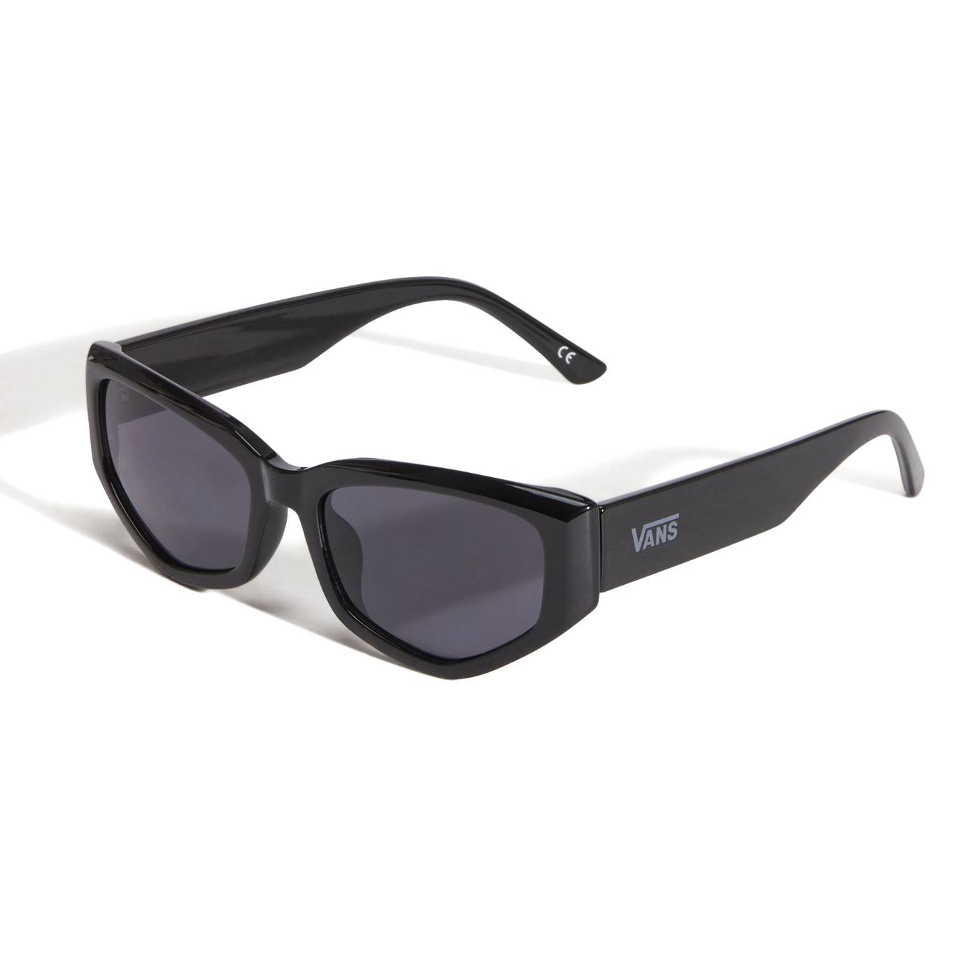 Gafas Vans Leyden Black