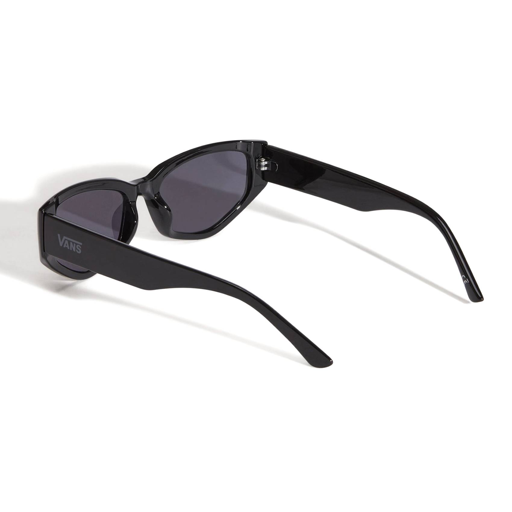Gafas Vans Leyden Black