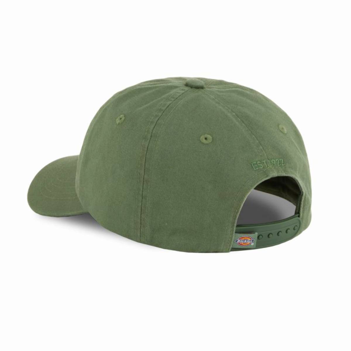 Gorra Dickies Hardwick Sea Spray