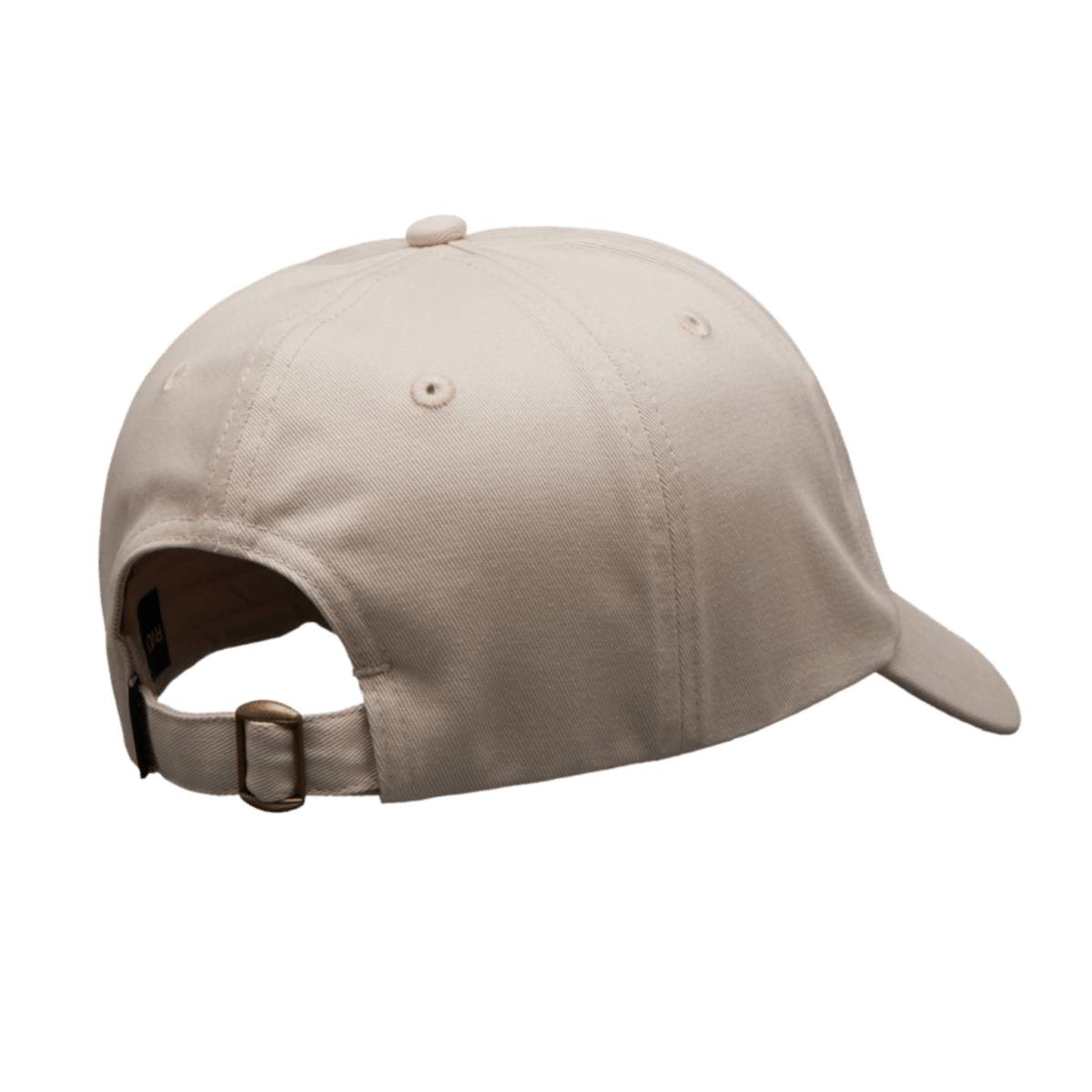 Gorra RVCA AF Bird Logo Moonbeam