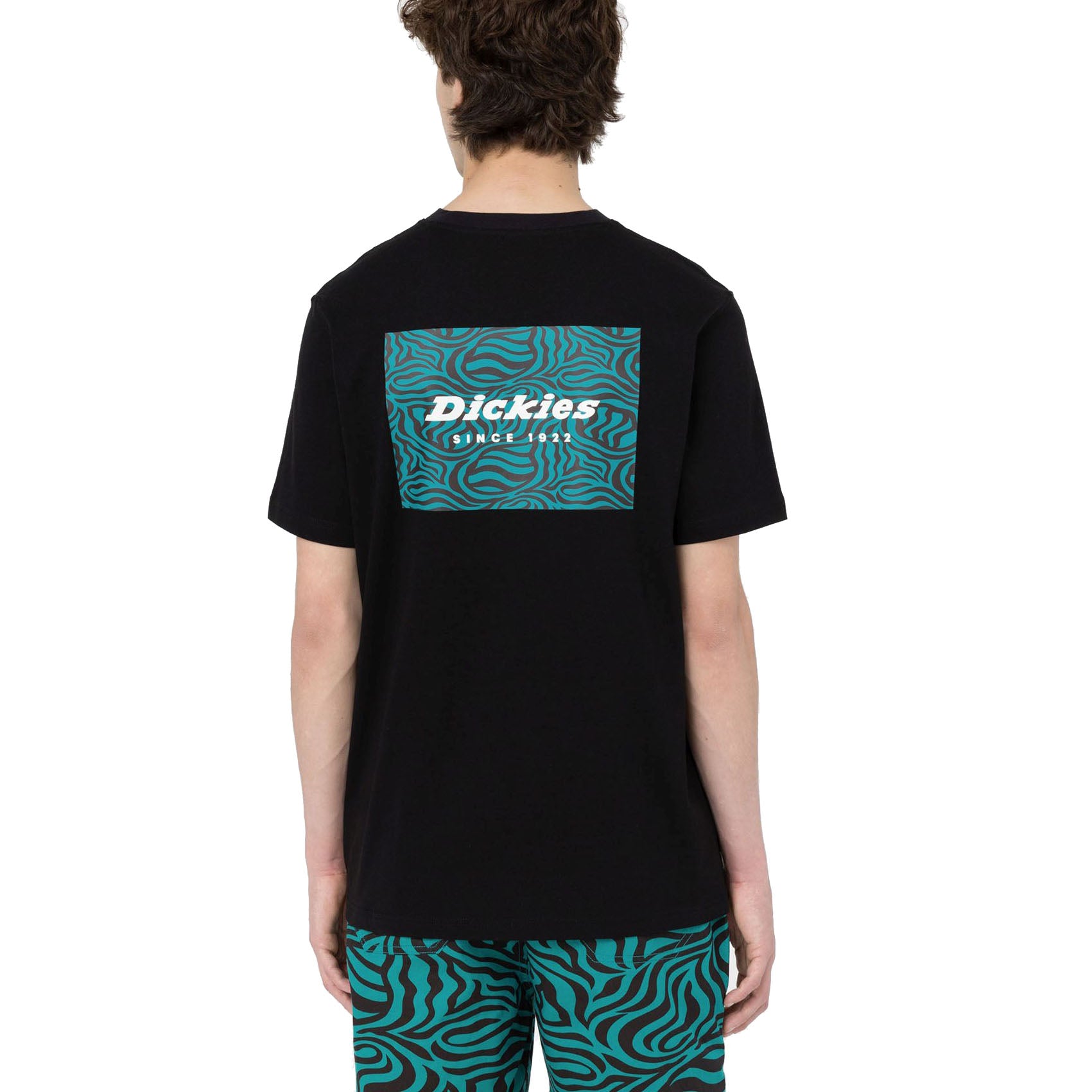 Camiseta Dickies Leesburg Black