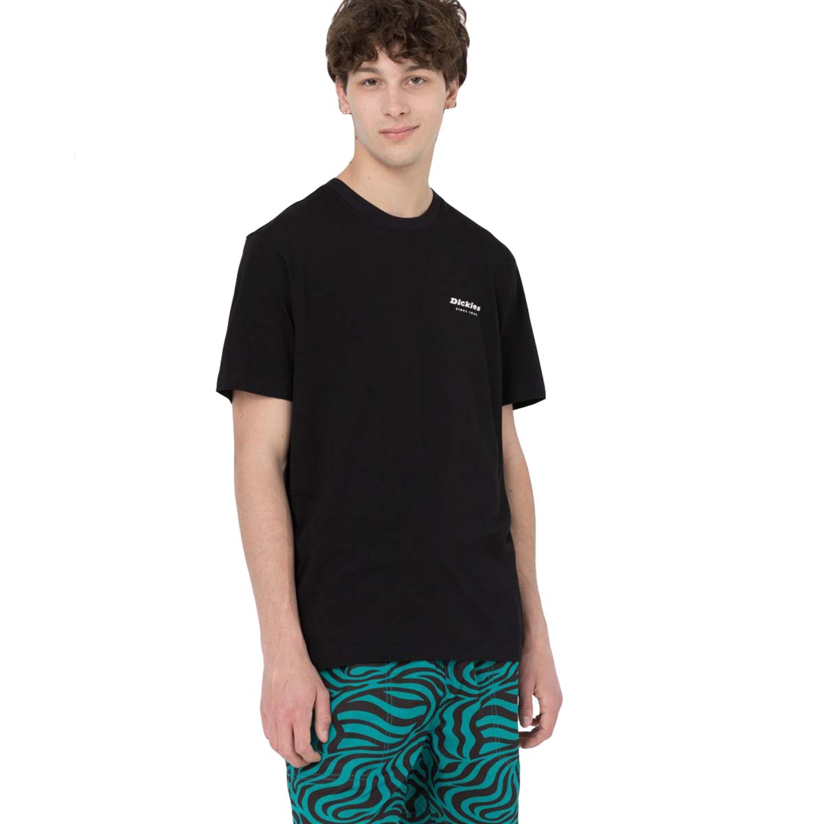 Camiseta Dickies Leesburg Black