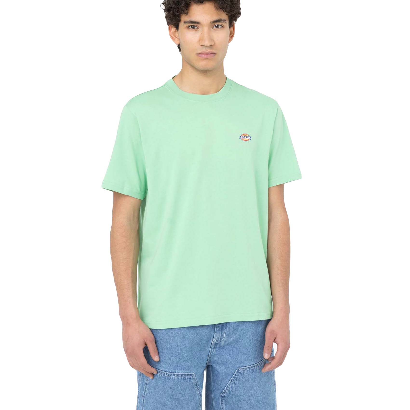 Camiseta Dickies Mapleton Apple Mint