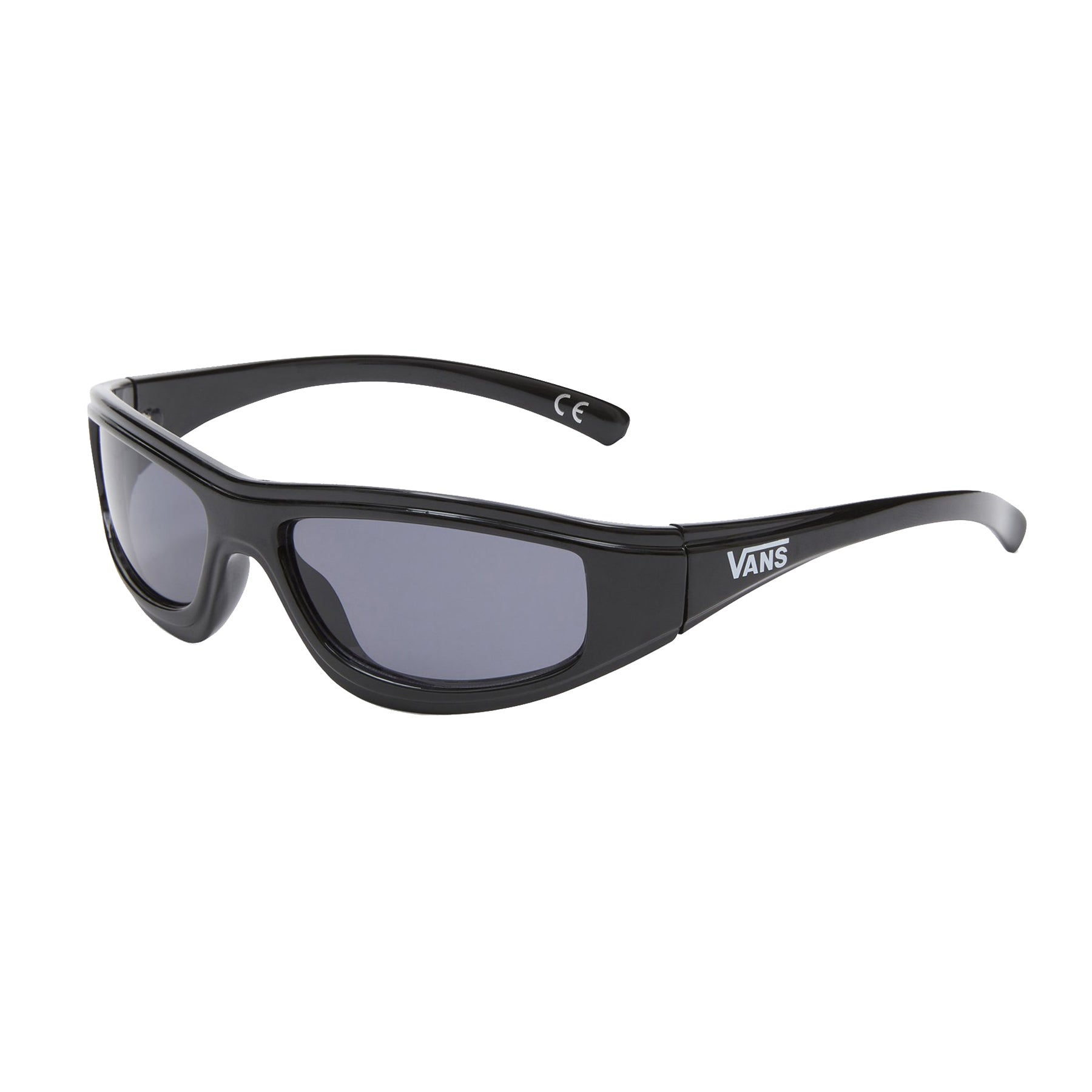 Gafas Vans Felix Black