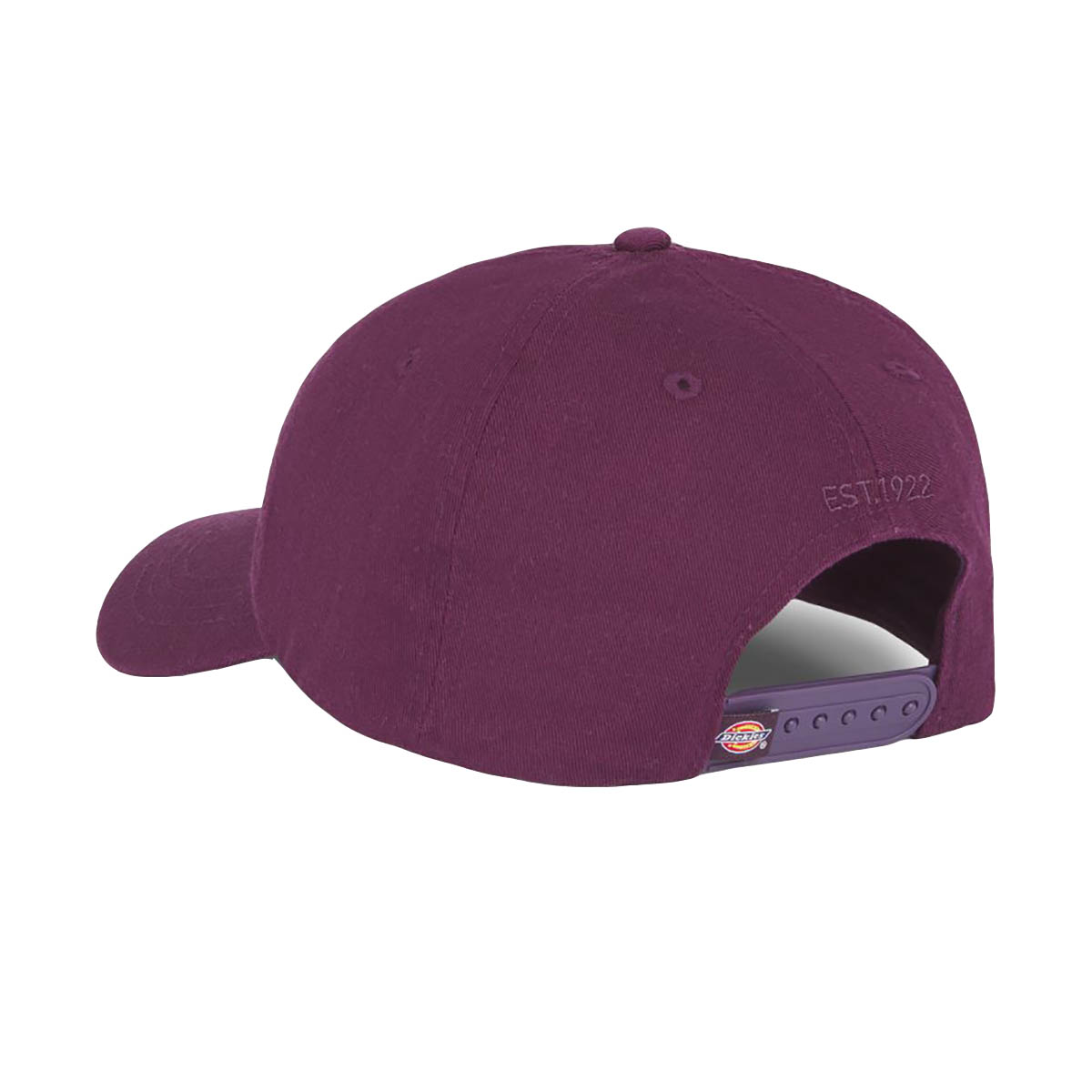 Gorra Dickies Hardwick Plum Perfect